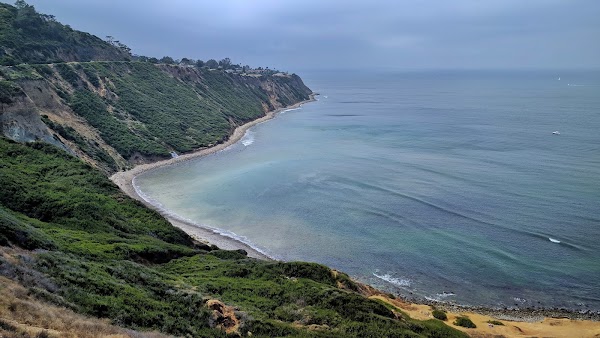 Bluff Cove Trail