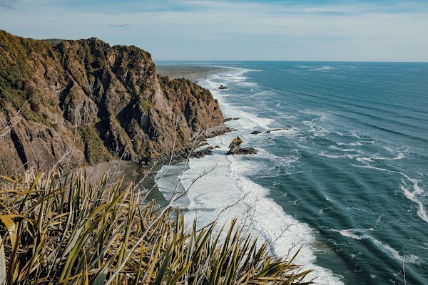 Mercer Bay Loop Walk 1