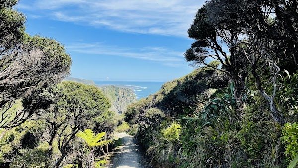 Mercer Bay Loop Walk 2