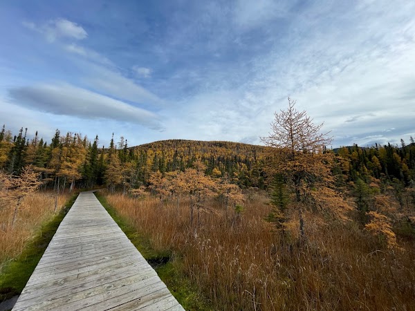 Liard River Hot Springs Provincial Park 2