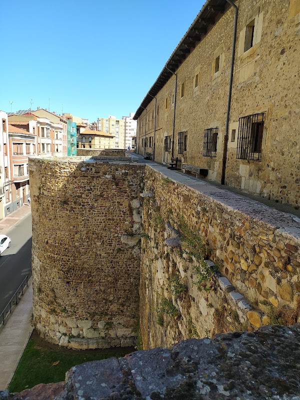 Museo de San Isidoro 2