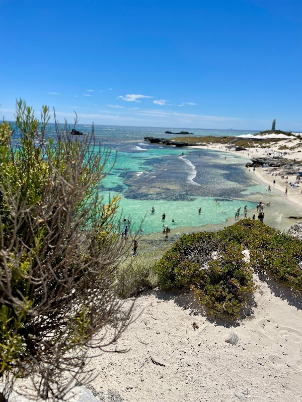 Rottnest Island 4
