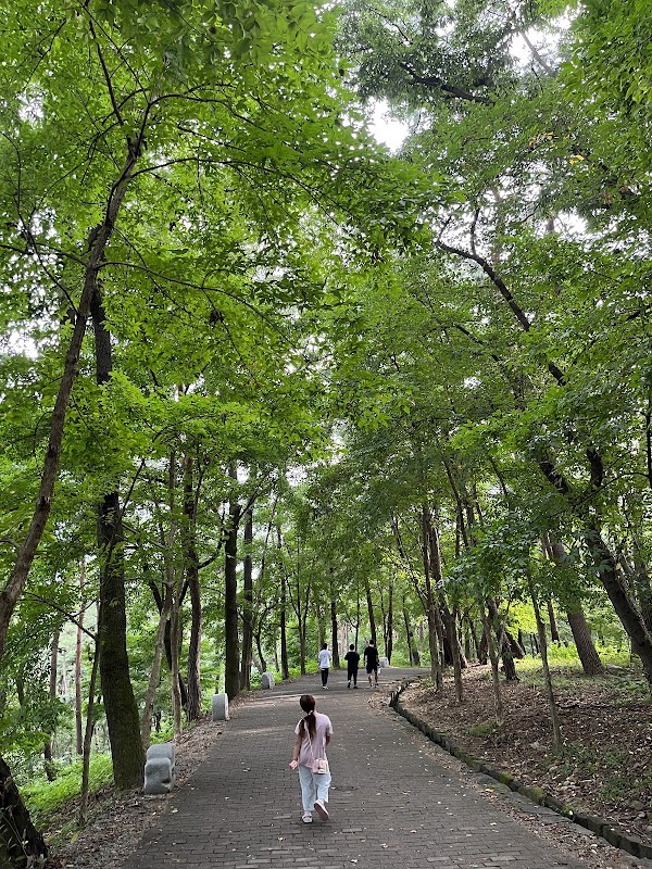 Busosanseong 4