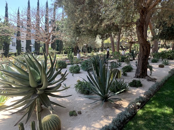 Baháʼí Garden Haifa 2