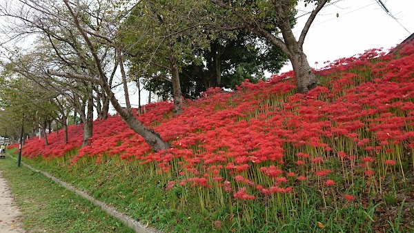Tennogawa Park 3