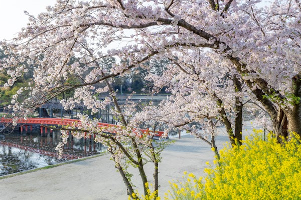Tennogawa Park 2