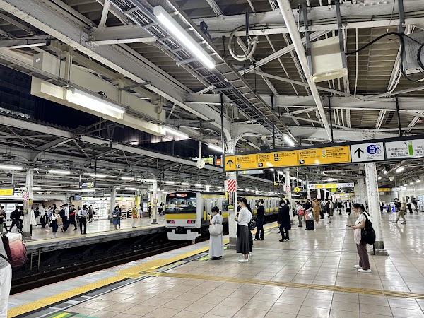 Akihabara Station 2