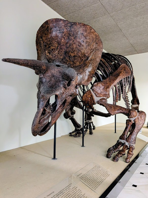 National Museum of Natural History Goulandris