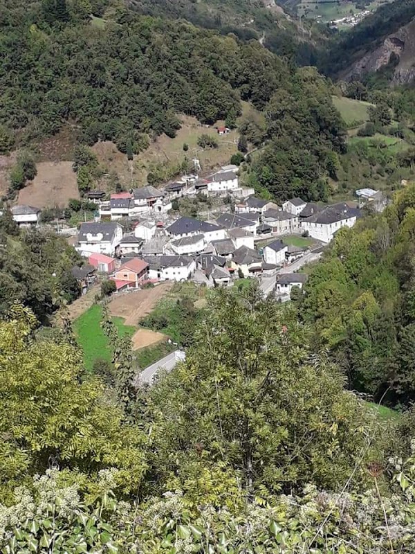 Rengos