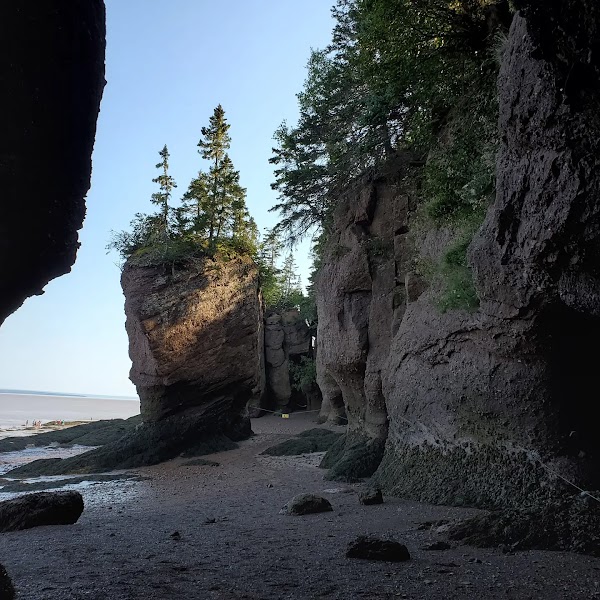 Bay of Fundy 5