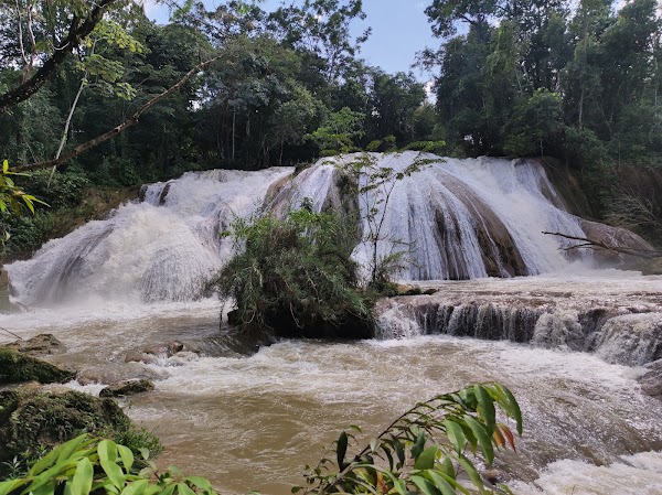 Palenque