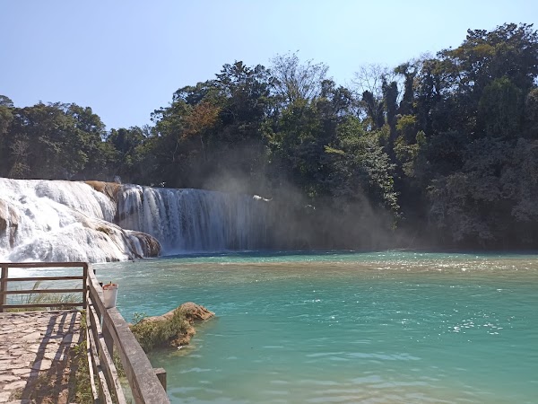 Palenque 4