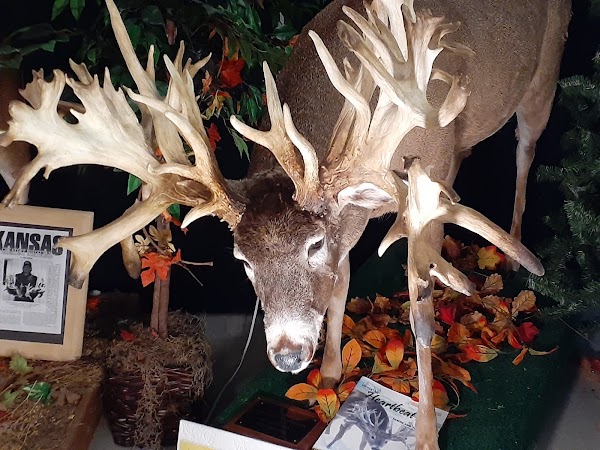 Double Diamond Deer Ranch 1