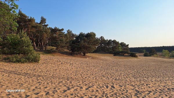 Sahara Lommel 2