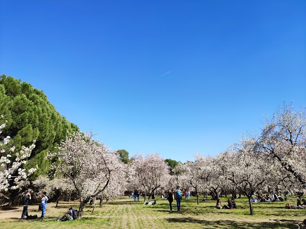 Parque de la Quinta de los Molinos