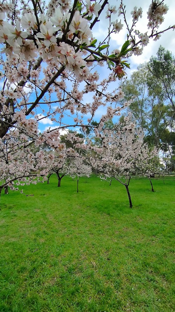 Parque de la Quinta de los Molinos 3