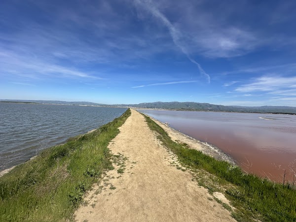 Alviso Marina County Park 2