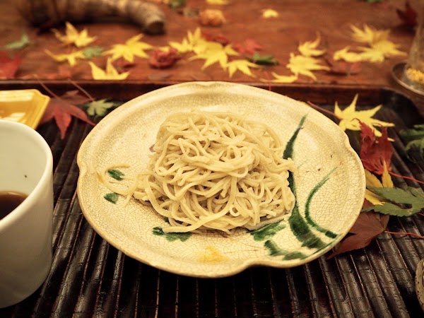 Ogata 3