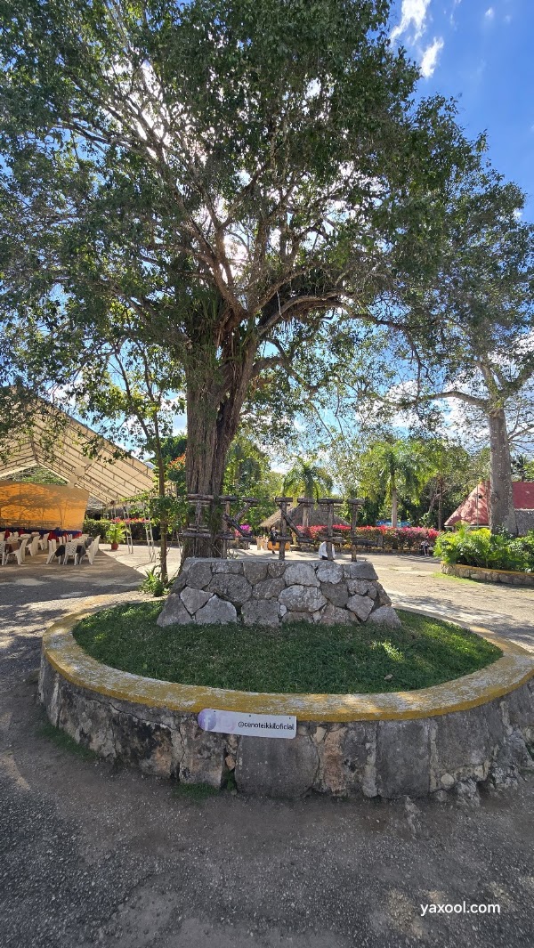 Ik Kil Cenote 3
