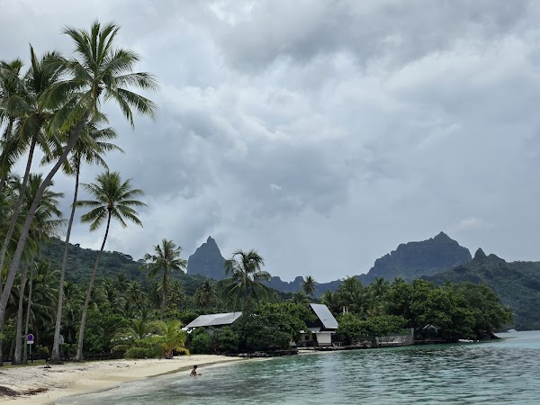 Opunohu Beach 1