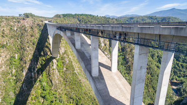 Bloukrans Bungy
