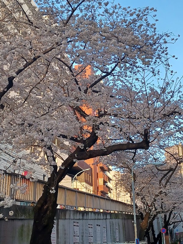 Otsuka 5
