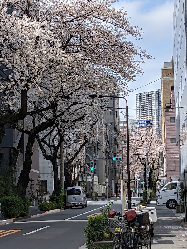 Otsuka 2