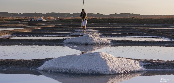 Salines de Guérande