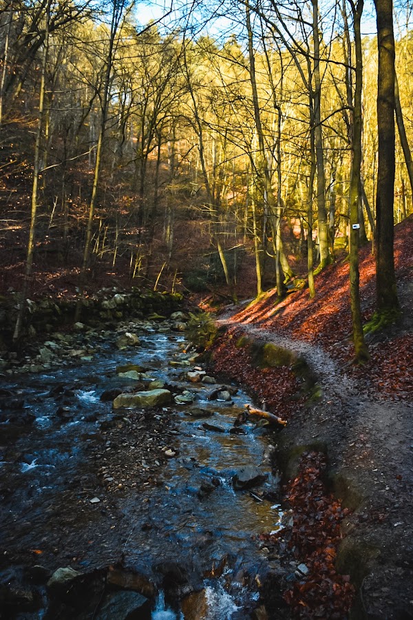 Parking Ninglinspo wandeling