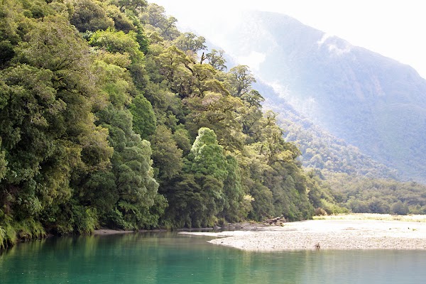 Haast River Safari 3