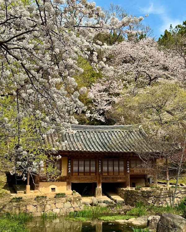 Namganjeongsa Study Hall