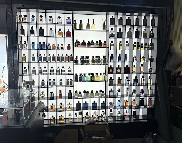 Kinbo Fashion City 5