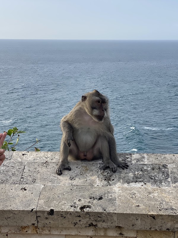Uluwatu Temple Bali View Point 2