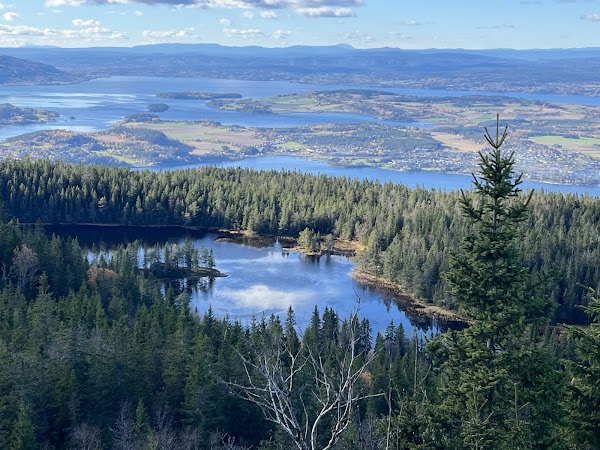 Gyrihaugen