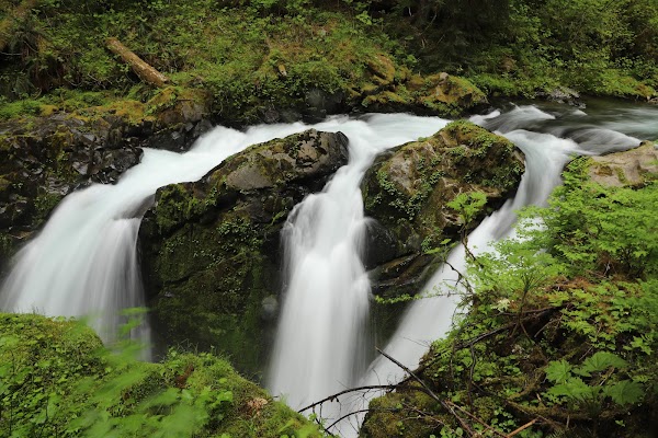 Sol Duc Falls 5