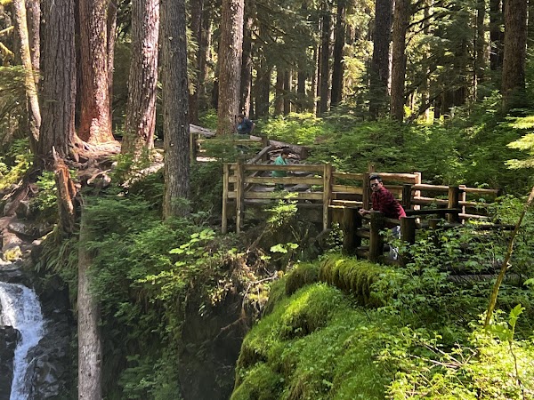 Sol Duc Falls 4