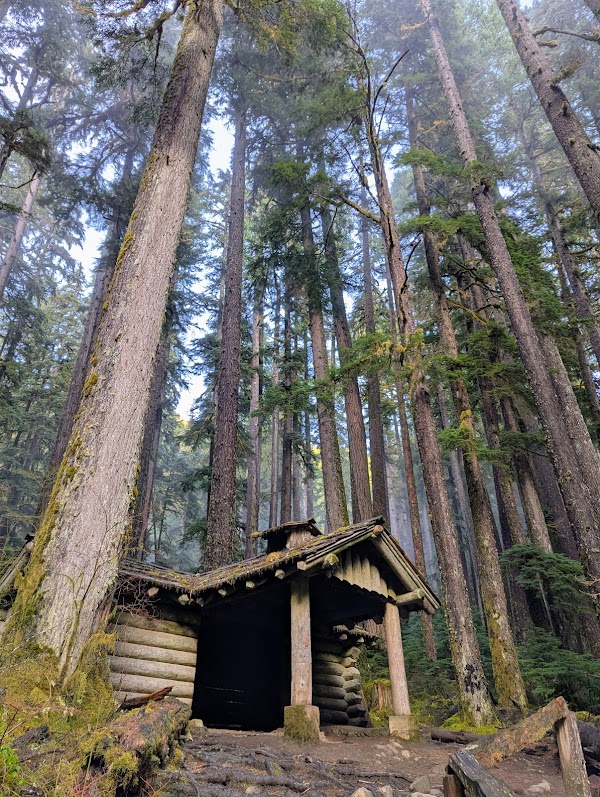 Sol Duc Falls 3
