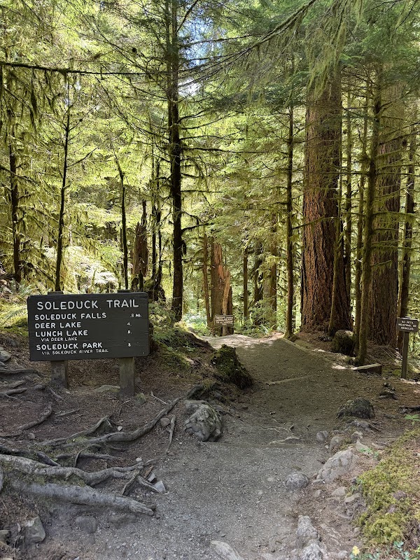 Sol Duc Falls 2