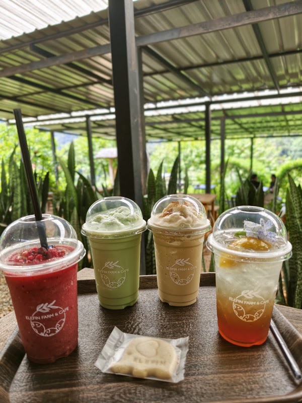 Elefin Farm & Cafe 4
