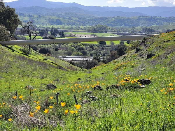 Máyyan 'Ooyákma – Coyote Ridge Open Space Preserve 2