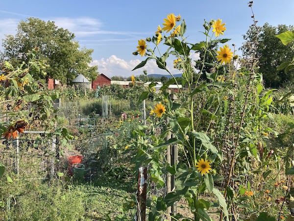 Stony Kill Farm Environmental Education Center 1