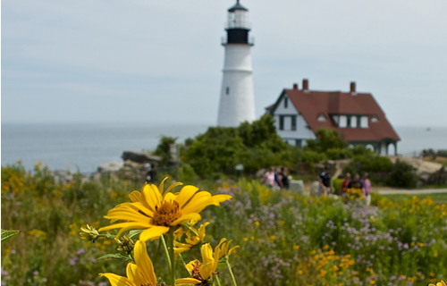 Fort Williams Park