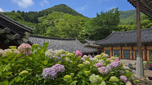 대한불교조계종 용문사(남해) 3