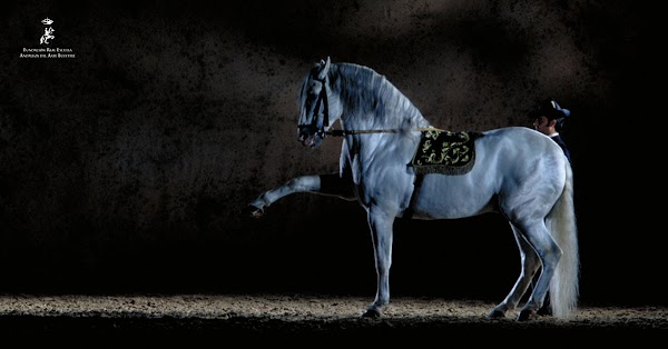 Royal Andalusian School of Equestrian Art 1