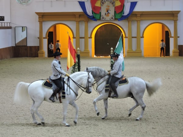 Royal Andalusian School of Equestrian Art 5