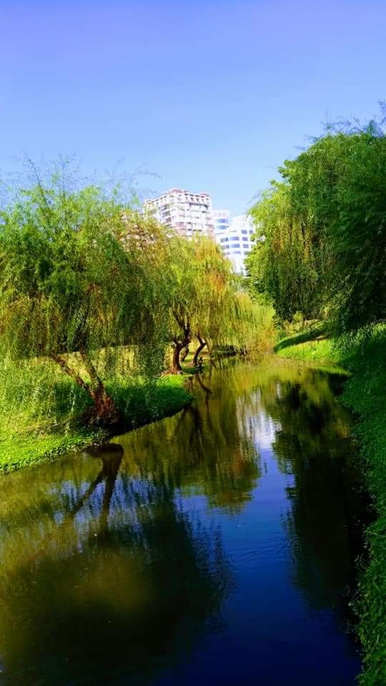 Tainan 5