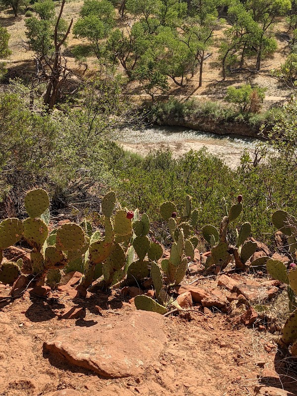 Kayenta Trail 4
