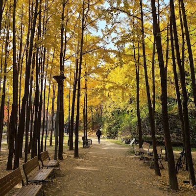 Seoul Forest Park 2