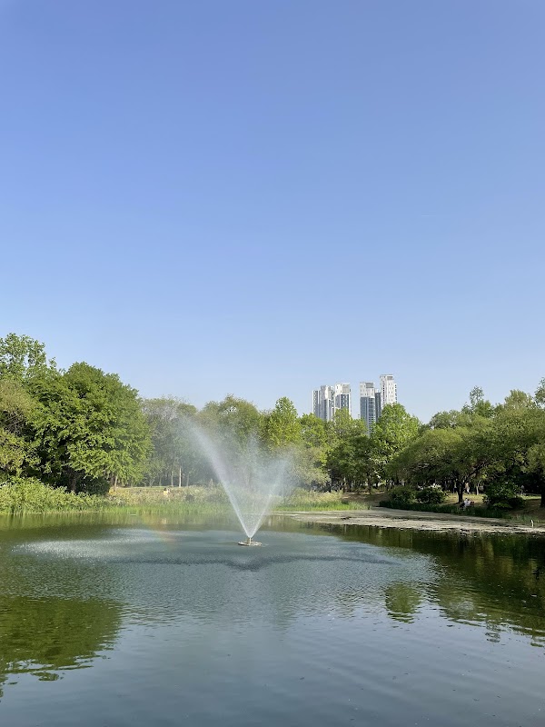 Seoul Forest Park 5