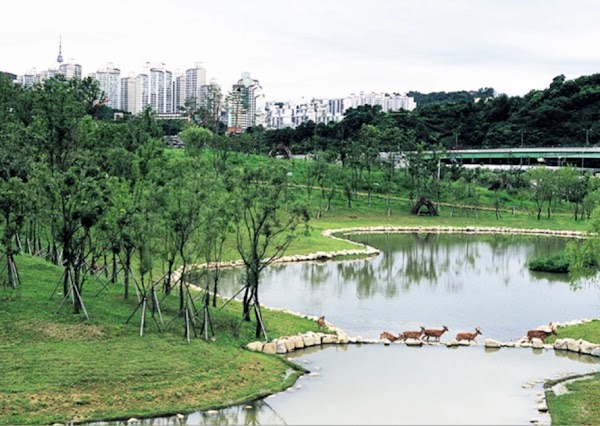 Seoul Forest Park 3